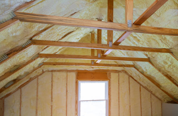 Best Spray Foam Insulation in Dakota Ridge, CO