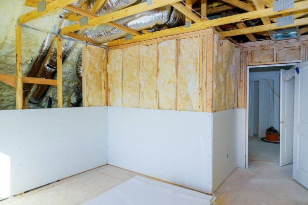 Best Commercial Insulation in Dakota Ridge, CO