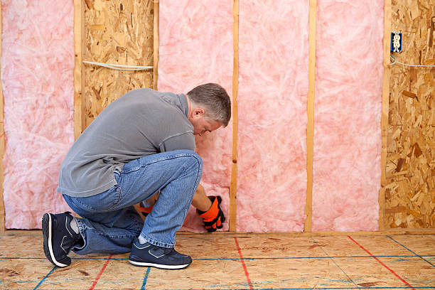 Best Energy Efficiency Insulation in Dakota Ridge, CO