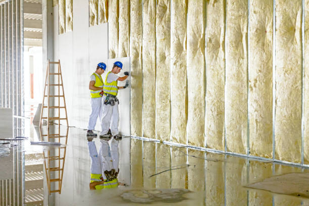 Best Eco-Friendly Insulation in Dakota Ridge, CO